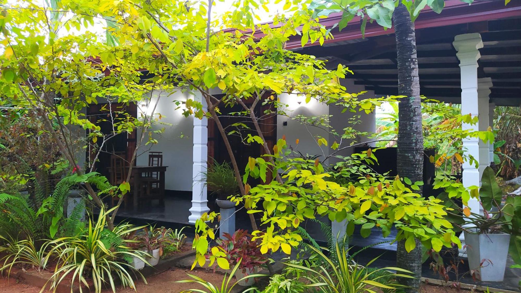 Yashi'S Place Sigiriya Eksteriør bilde