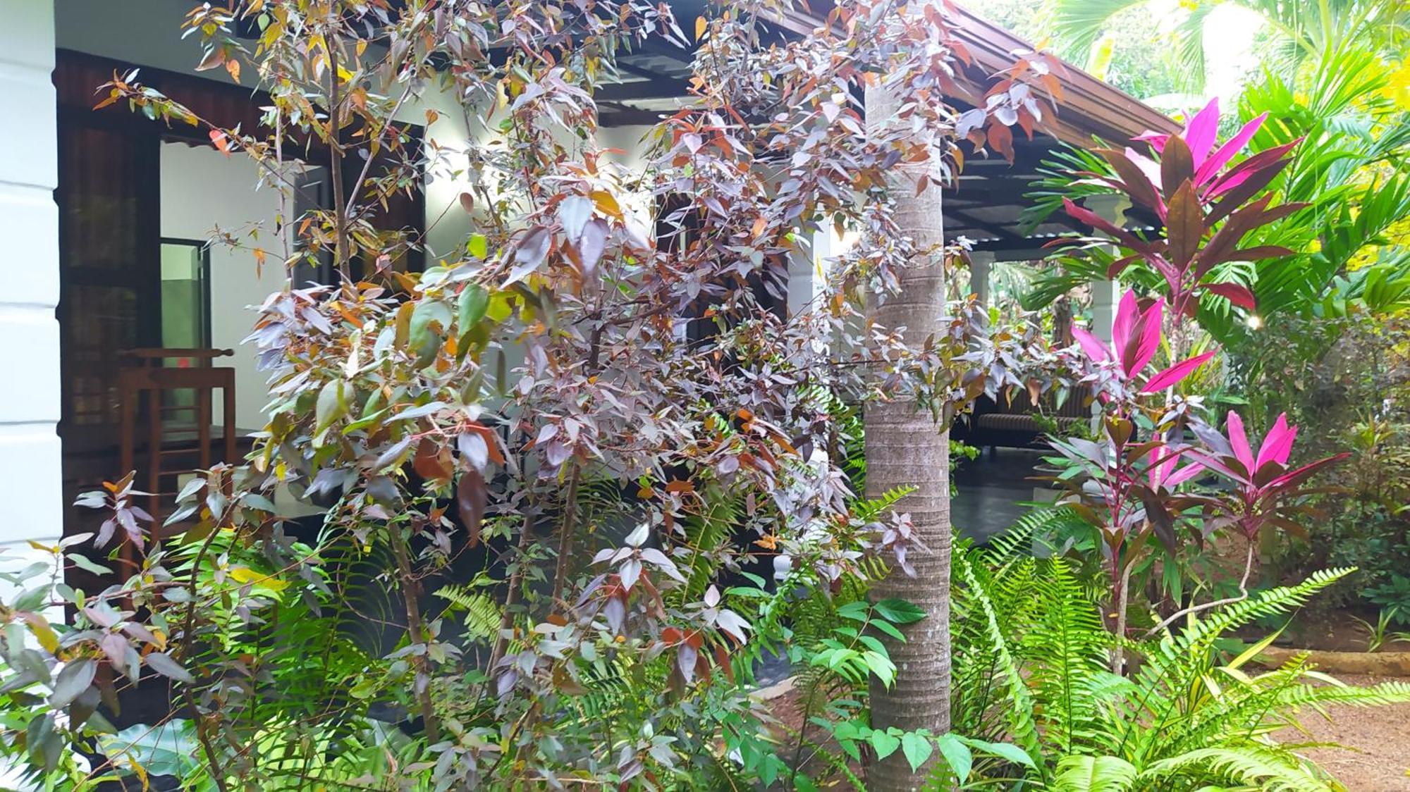 Yashi'S Place Sigiriya Eksteriør bilde